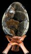 Septarian Dragon Egg Geode - Black Crystals #40937-1